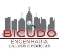 bivudo engenharia